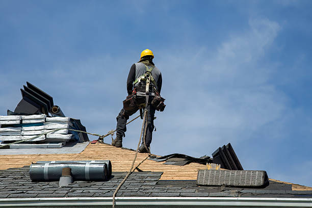 Professional Gutter Installation technician working in Dayton, MN